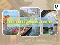 thuong-hai-hang-chau-o-tran
