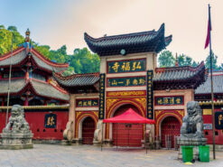 quy-duong - quy-duong-6